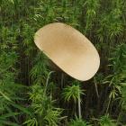 Mat Chair. Foton: Normann Copenhagen