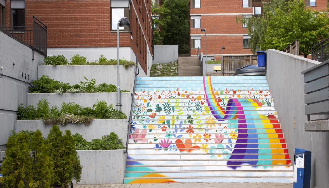 Foto: Stockholms studentbostäder, SSSB.