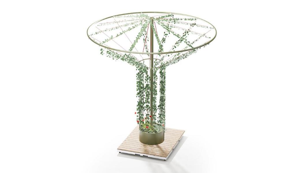 Växtstödet Arbory. Foto: Nola