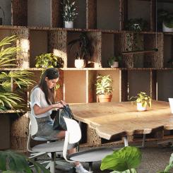 Enligt forskningen ökar både kreativitet och välmående när naturen får flytta in. Foto: United Spaces